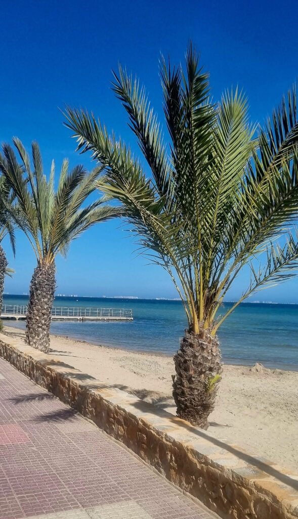 WhatsApp Image 2025-08-31 at 21.14.11